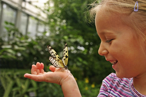 Play Outside!